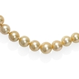 Golden South Sea Pearl 14k Yellow Gold Necklace