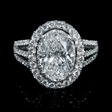 1.01ct Diamond 18k White Gold Double Halo Engagement Ring Setting