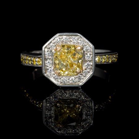 Diamond Platinum and 18k Yellow Gold Halo Engagement Ring 